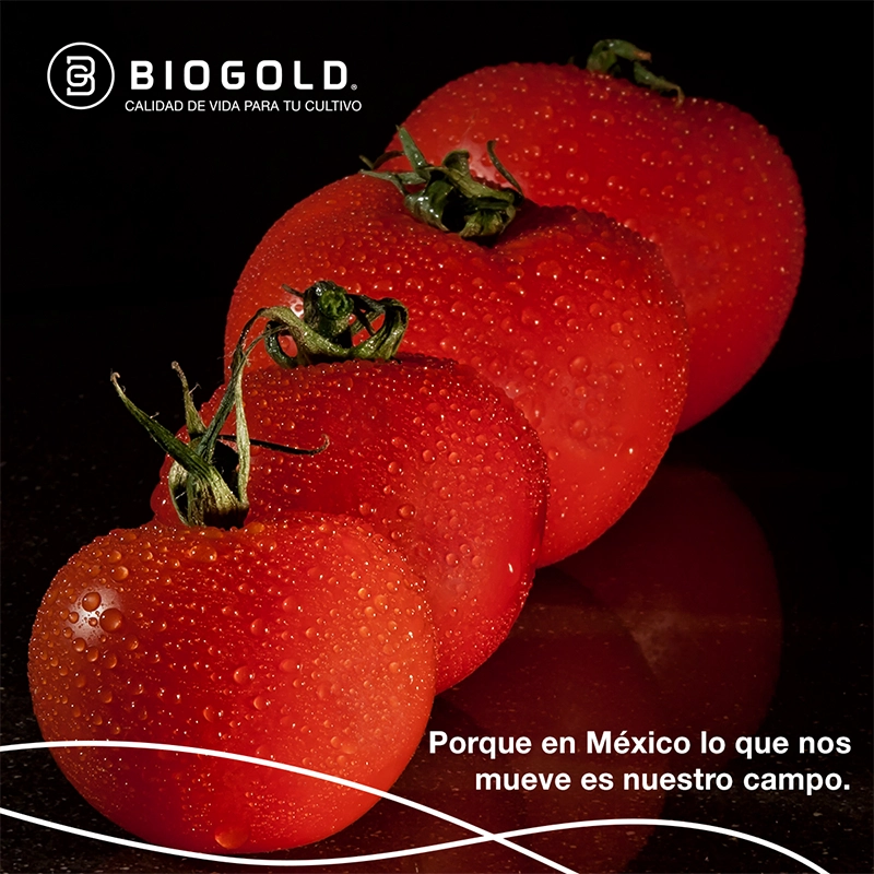 Social Media Port 06