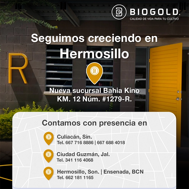 Social Media Port 13