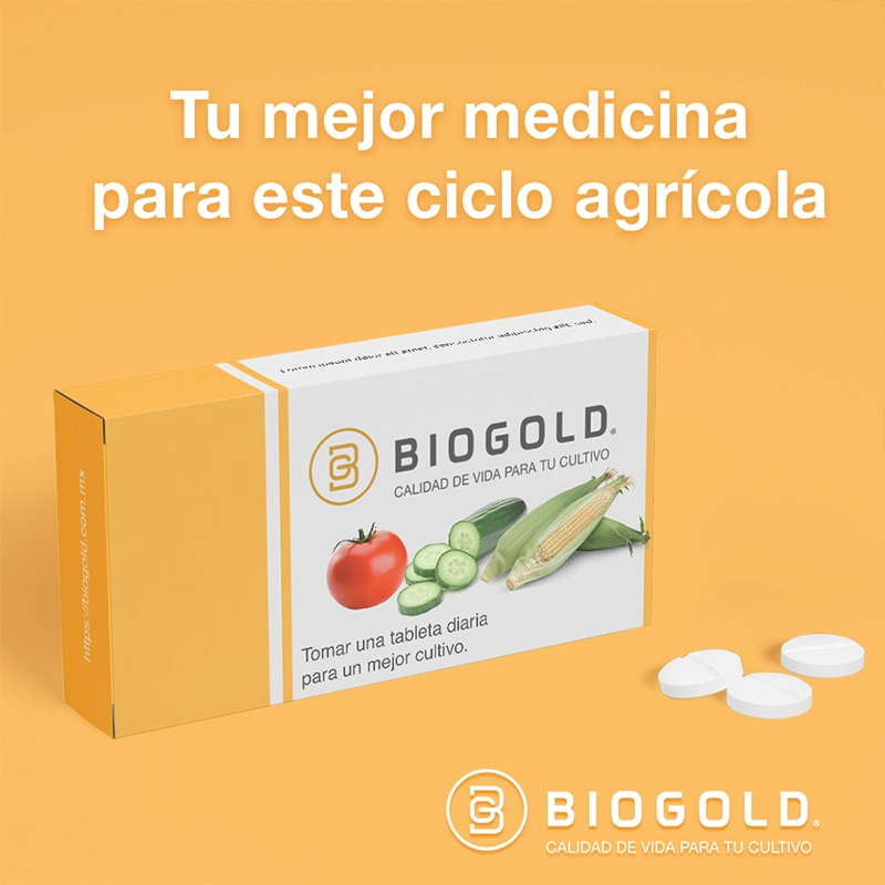 Social Media Port 14