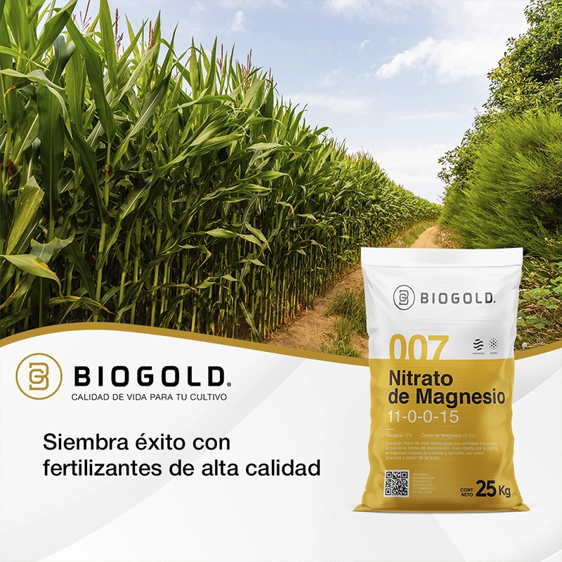 Social Media Port 16