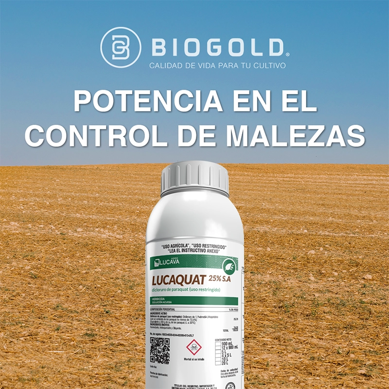 Social Media Port 17