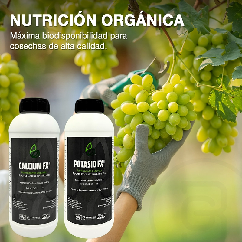 Social Media Port Biogold 01