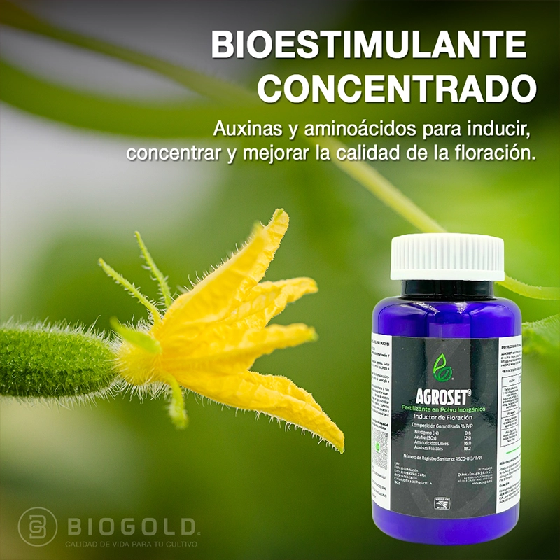 Social Media Port Biogold 02