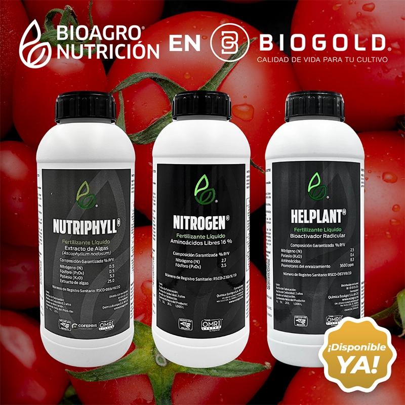 Social Media Port Biogold 03