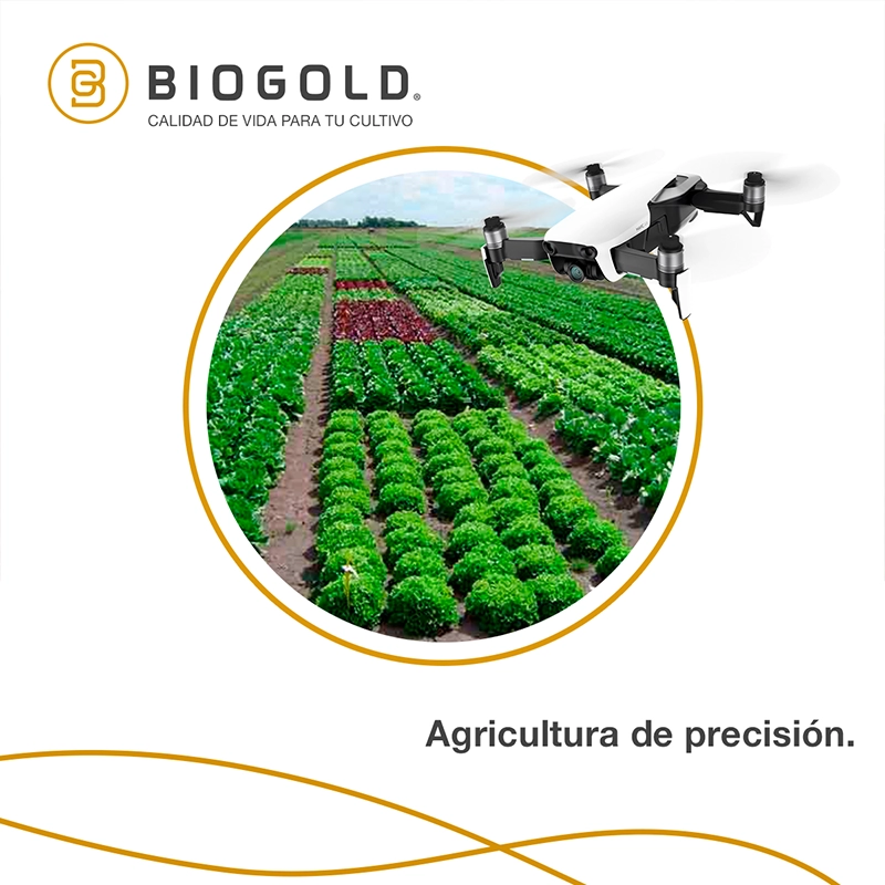 Social Media Port Biogold 07