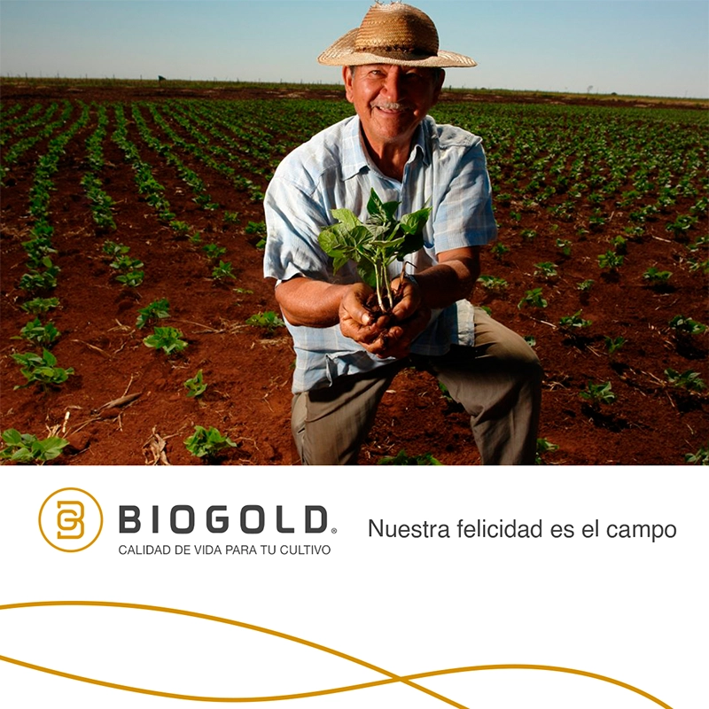 Social Media Port Biogold 08