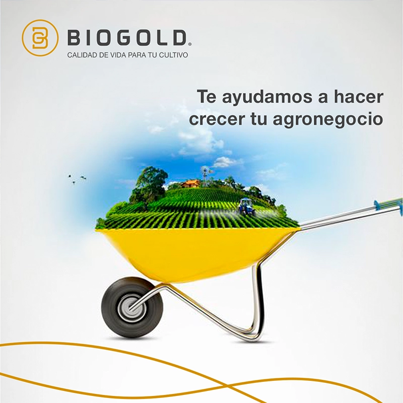 Social Media Port Biogold 10