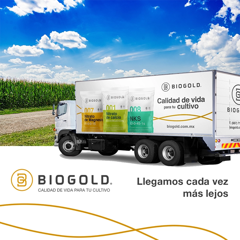 Social Media Port Biogold 11