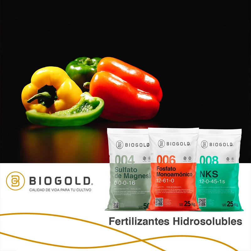 Social Media Port Biogold 12