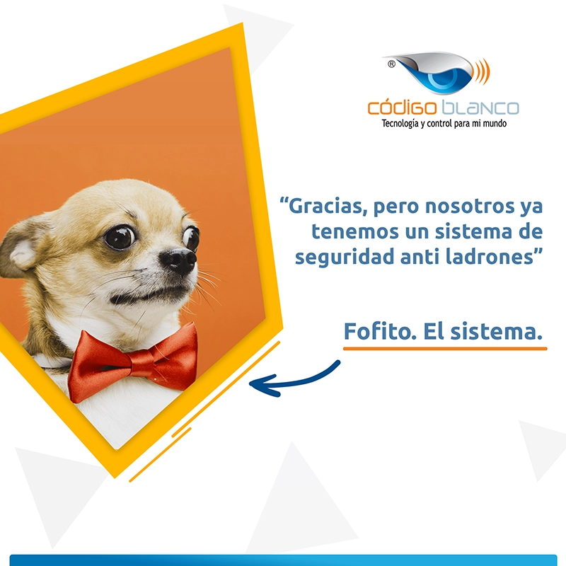 Social Media Port cb 13